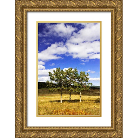 Autumn Fields IV Gold Ornate Wood Framed Art Print with Double Matting by Hausenflock, Alan