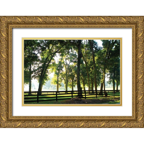 Misty Sunrise I Gold Ornate Wood Framed Art Print with Double Matting by Hausenflock, Alan