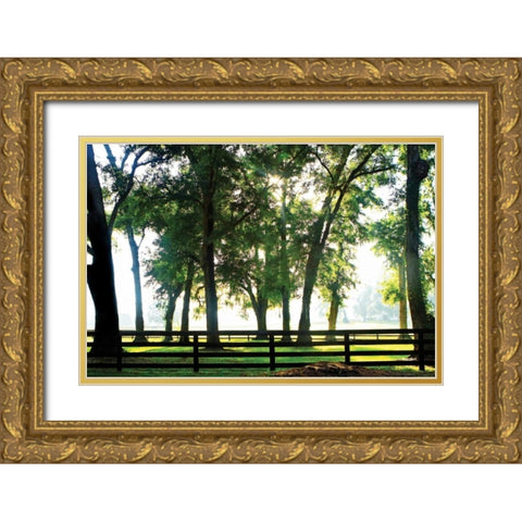 Misty Sunrise II Gold Ornate Wood Framed Art Print with Double Matting by Hausenflock, Alan