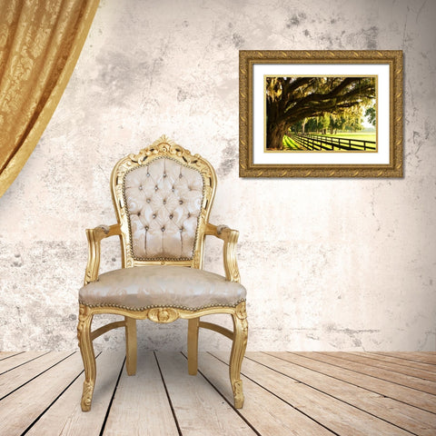 Majestic Oaks II Gold Ornate Wood Framed Art Print with Double Matting by Hausenflock, Alan