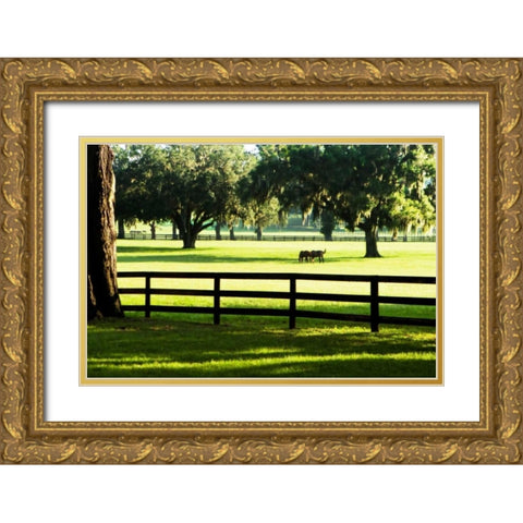 Serene Horses I Gold Ornate Wood Framed Art Print with Double Matting by Hausenflock, Alan