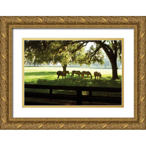 Horses in the Sunrise I Gold Ornate Wood Framed Art Print with Double Matting by Hausenflock, Alan