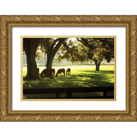 Horses in the Sunrise II Gold Ornate Wood Framed Art Print with Double Matting by Hausenflock, Alan