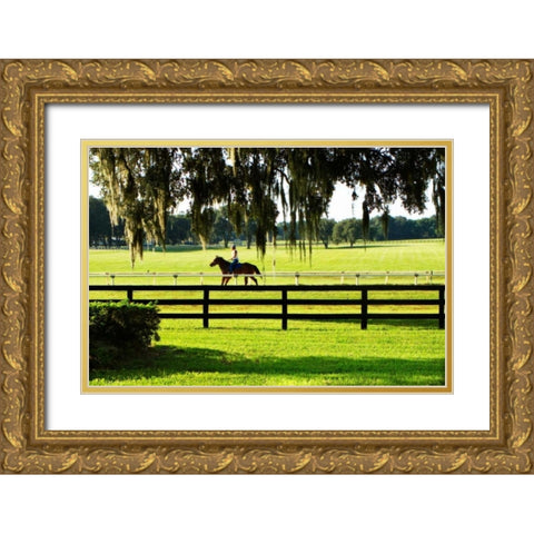 Training Day II Gold Ornate Wood Framed Art Print with Double Matting by Hausenflock, Alan