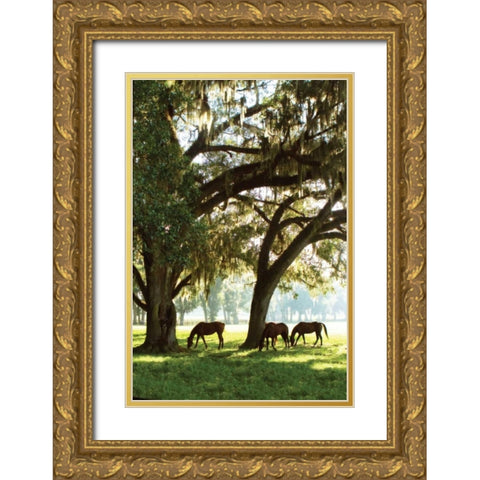 Horses in the Sunrise V Gold Ornate Wood Framed Art Print with Double Matting by Hausenflock, Alan