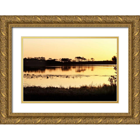 Snow Goose Pool I Gold Ornate Wood Framed Art Print with Double Matting by Hausenflock, Alan