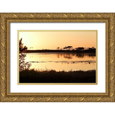 Snow Goose Pool II Gold Ornate Wood Framed Art Print with Double Matting by Hausenflock, Alan