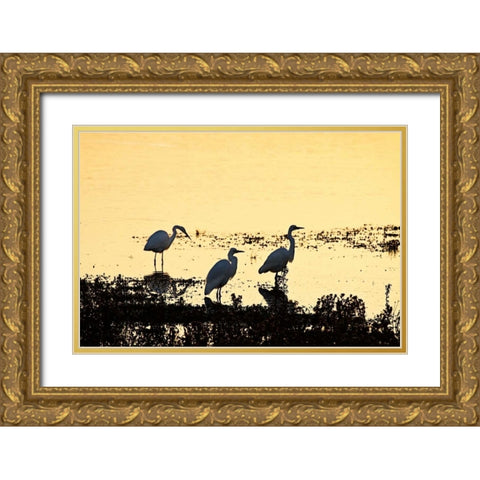 Egrets in the Sunrise I Gold Ornate Wood Framed Art Print with Double Matting by Hausenflock, Alan