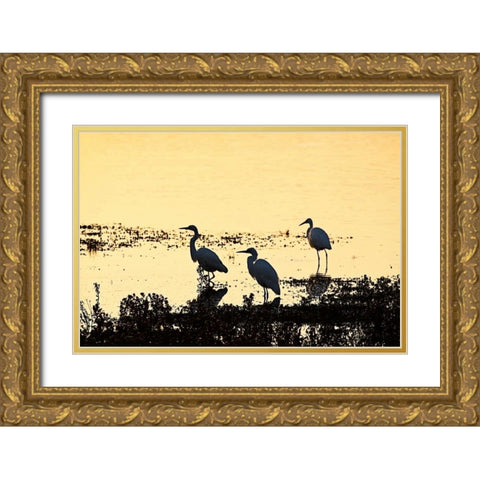Egrets in the Sunrise II Gold Ornate Wood Framed Art Print with Double Matting by Hausenflock, Alan