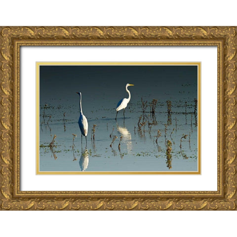 Early Morning Egrets I Gold Ornate Wood Framed Art Print with Double Matting by Hausenflock, Alan