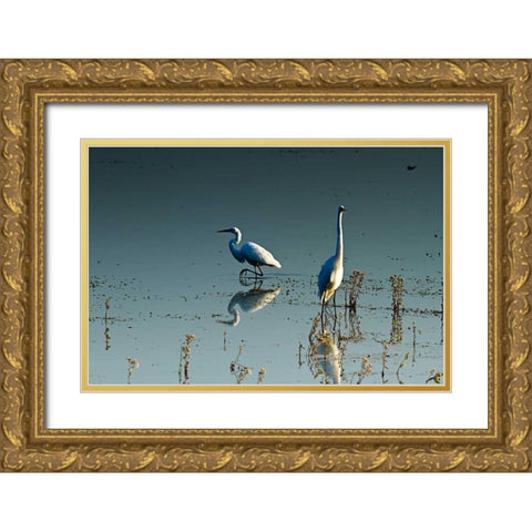 Early Morning Egrets II Gold Ornate Wood Framed Art Print with Double Matting by Hausenflock, Alan