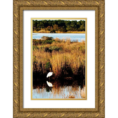 Assateague Island I Gold Ornate Wood Framed Art Print with Double Matting by Hausenflock, Alan
