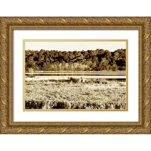Assateague Island IV Gold Ornate Wood Framed Art Print with Double Matting by Hausenflock, Alan