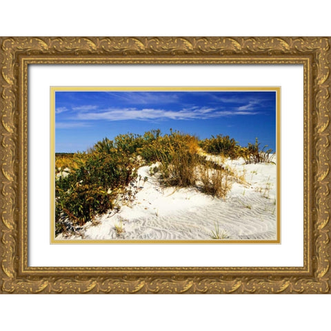 Assateague Beach I Gold Ornate Wood Framed Art Print with Double Matting by Hausenflock, Alan