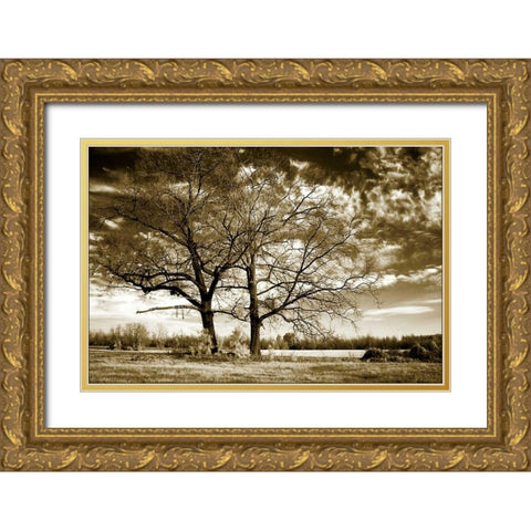 Rolesville Oaks Gold Ornate Wood Framed Art Print with Double Matting by Hausenflock, Alan