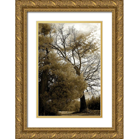 Winter Scene Gold Ornate Wood Framed Art Print with Double Matting by Hausenflock, Alan