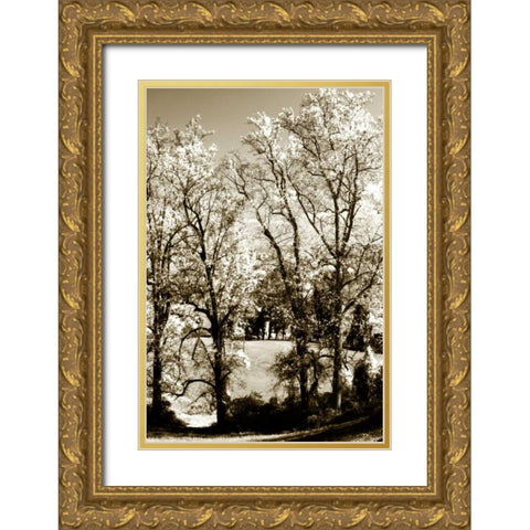 Autumn Meadow I Gold Ornate Wood Framed Art Print with Double Matting by Hausenflock, Alan