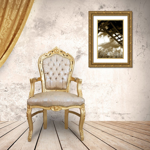 Falling Down II Gold Ornate Wood Framed Art Print with Double Matting by Hausenflock, Alan