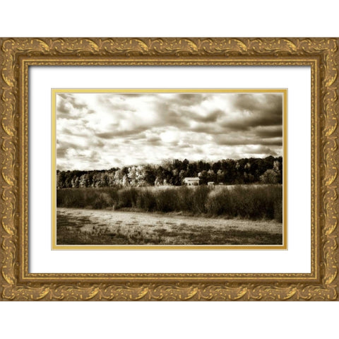 Hanover Farm II Gold Ornate Wood Framed Art Print with Double Matting by Hausenflock, Alan