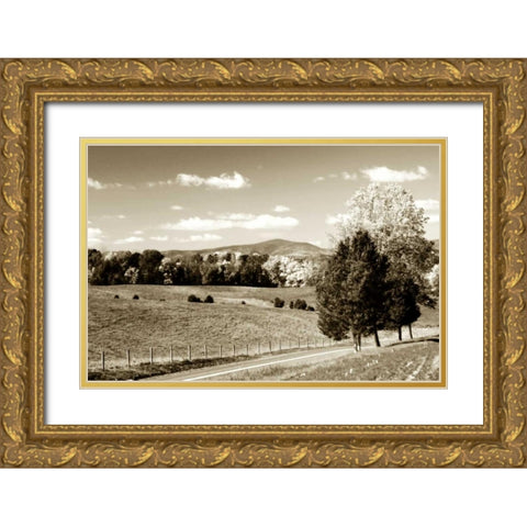 Autumn Foothills III Gold Ornate Wood Framed Art Print with Double Matting by Hausenflock, Alan