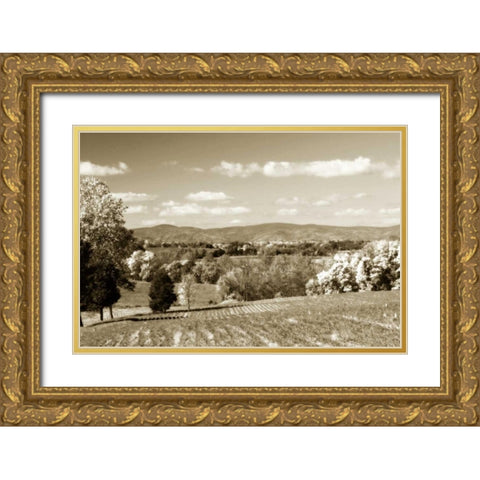 Autumn Foothills V Gold Ornate Wood Framed Art Print with Double Matting by Hausenflock, Alan