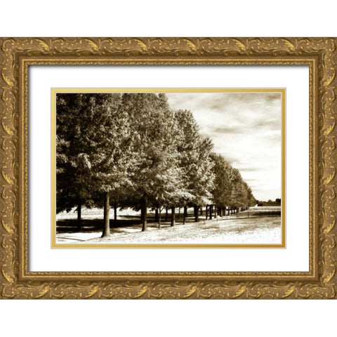 Plantation Road I Gold Ornate Wood Framed Art Print with Double Matting by Hausenflock, Alan