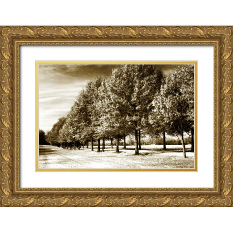 Plantation Road II Gold Ornate Wood Framed Art Print with Double Matting by Hausenflock, Alan