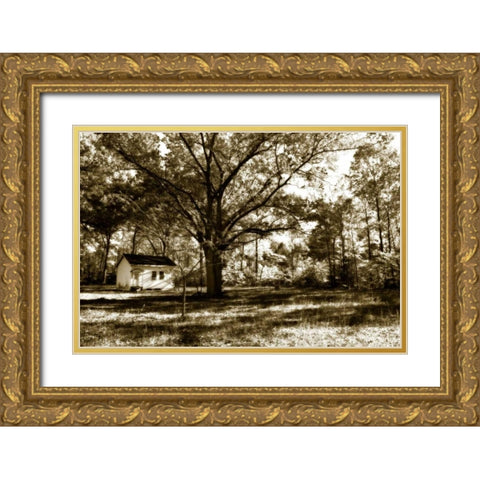Joes Place I Gold Ornate Wood Framed Art Print with Double Matting by Hausenflock, Alan