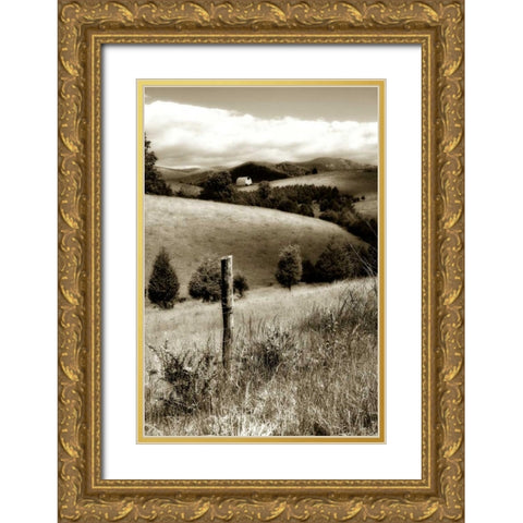 Madison County I Gold Ornate Wood Framed Art Print with Double Matting by Hausenflock, Alan