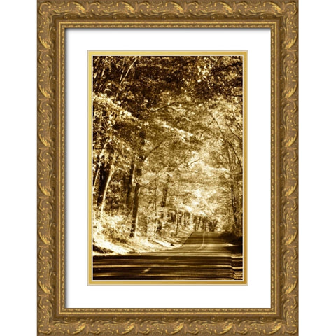 Autumn Wood Road III Gold Ornate Wood Framed Art Print with Double Matting by Hausenflock, Alan