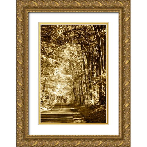 Autumn Wood Road IV Gold Ornate Wood Framed Art Print with Double Matting by Hausenflock, Alan