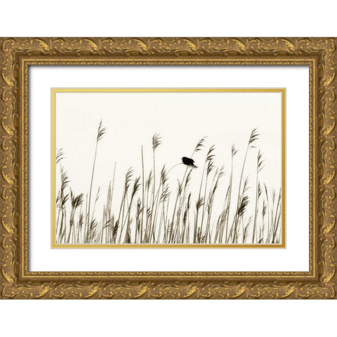 Bird in the Grass I Gold Ornate Wood Framed Art Print with Double Matting by Hausenflock, Alan