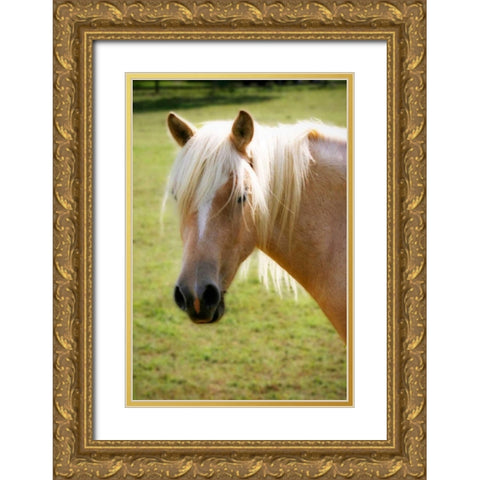 Sonny Gold Ornate Wood Framed Art Print with Double Matting by Hausenflock, Alan