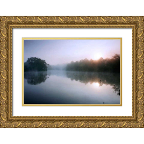 Fog on the Mattaponi VIII Gold Ornate Wood Framed Art Print with Double Matting by Hausenflock, Alan