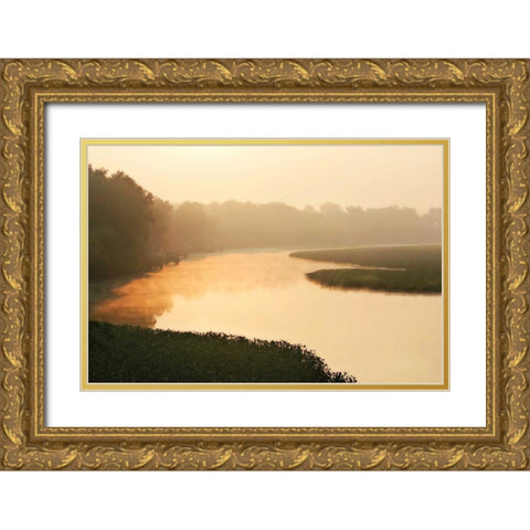 Fog on the Mattaponi II Gold Ornate Wood Framed Art Print with Double Matting by Hausenflock, Alan