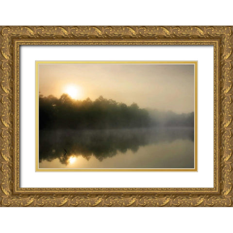 Fog on the Mattaponi III Gold Ornate Wood Framed Art Print with Double Matting by Hausenflock, Alan