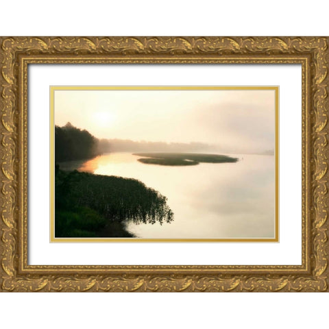 Fog on the Mattaponi VII Gold Ornate Wood Framed Art Print with Double Matting by Hausenflock, Alan