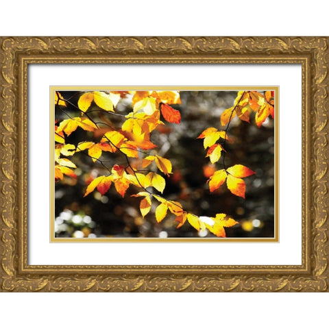 Autumn Leaves I Gold Ornate Wood Framed Art Print with Double Matting by Hausenflock, Alan