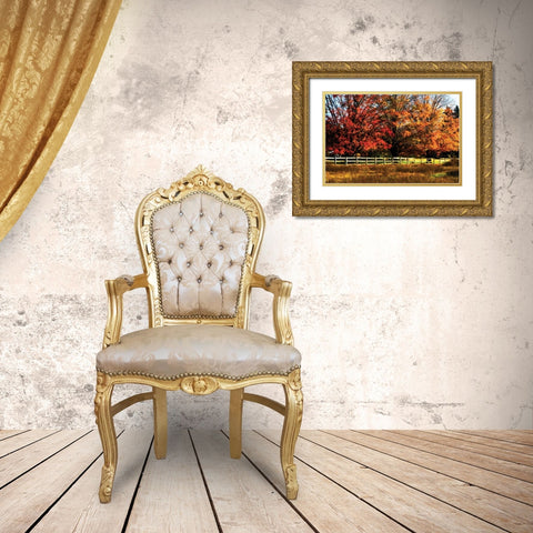 Autumn in the Fields Gold Ornate Wood Framed Art Print with Double Matting by Hausenflock, Alan