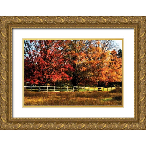 Autumn in the Fields Gold Ornate Wood Framed Art Print with Double Matting by Hausenflock, Alan