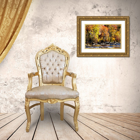 Autumn on the River VIII Gold Ornate Wood Framed Art Print with Double Matting by Hausenflock, Alan