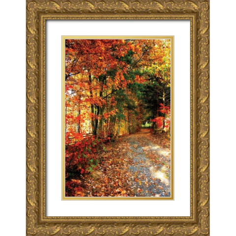 Autumn Pathway Gold Ornate Wood Framed Art Print with Double Matting by Hausenflock, Alan