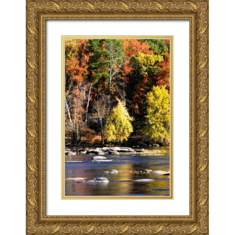 Autumn on the River IX Gold Ornate Wood Framed Art Print with Double Matting by Hausenflock, Alan