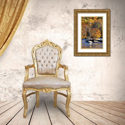 Autumn on the River I0 Gold Ornate Wood Framed Art Print with Double Matting by Hausenflock, Alan