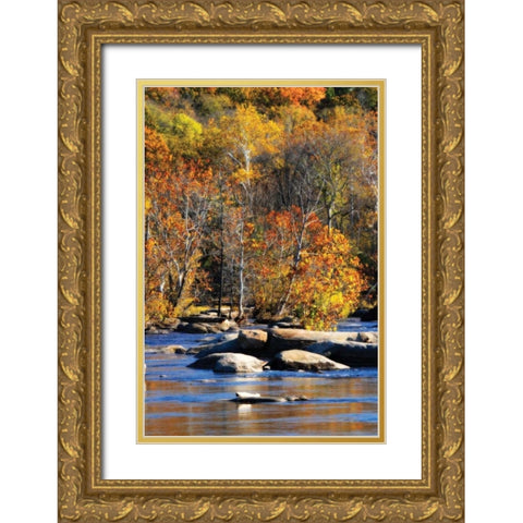 Autumn on the River I0 Gold Ornate Wood Framed Art Print with Double Matting by Hausenflock, Alan