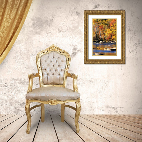 Autumn on the River I2 Gold Ornate Wood Framed Art Print with Double Matting by Hausenflock, Alan