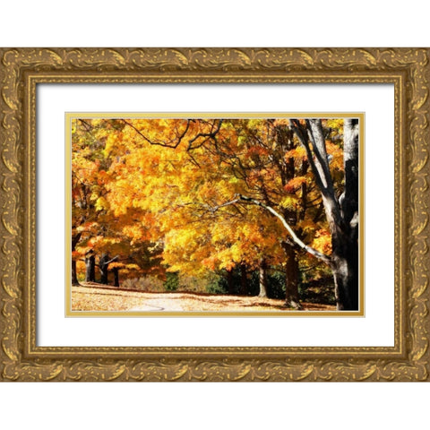 Sugar Maples II Gold Ornate Wood Framed Art Print with Double Matting by Hausenflock, Alan