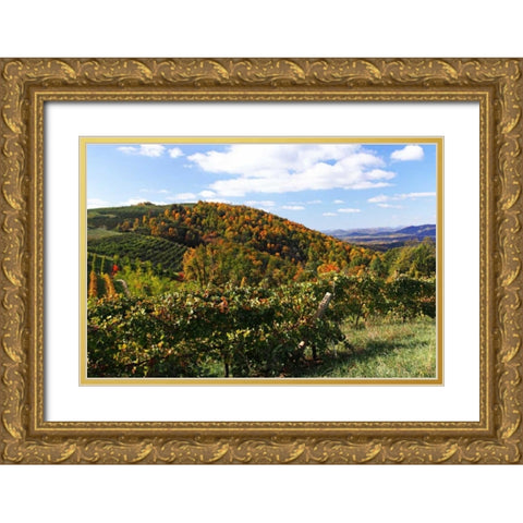 Mountain Vineyard I Gold Ornate Wood Framed Art Print with Double Matting by Hausenflock, Alan