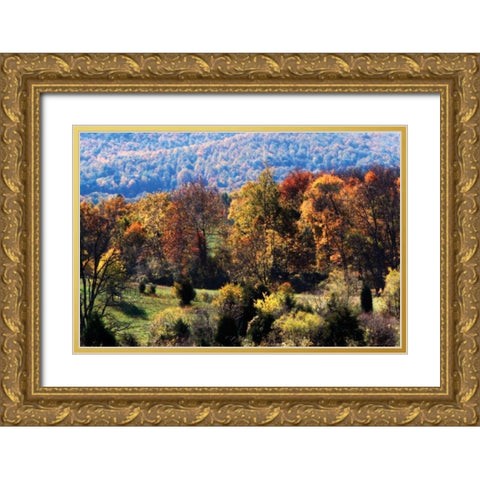 Autumn Foothills I Gold Ornate Wood Framed Art Print with Double Matting by Hausenflock, Alan