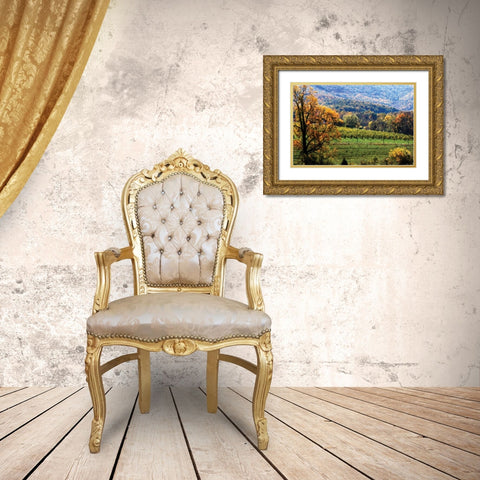 Autumn Foothills II Gold Ornate Wood Framed Art Print with Double Matting by Hausenflock, Alan